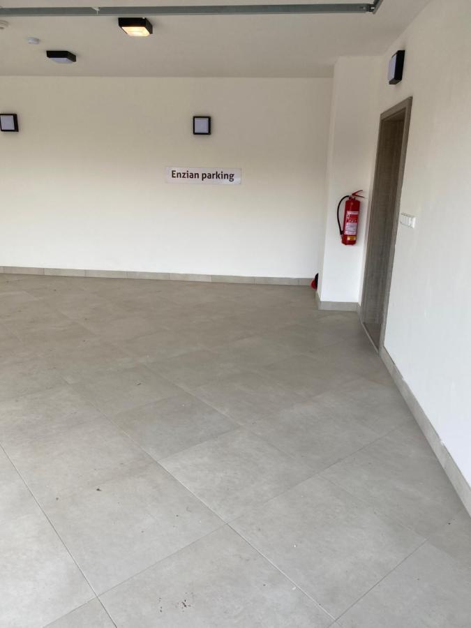 Apartment Enzian Loučná pod Klínovcem Exteriér fotografie